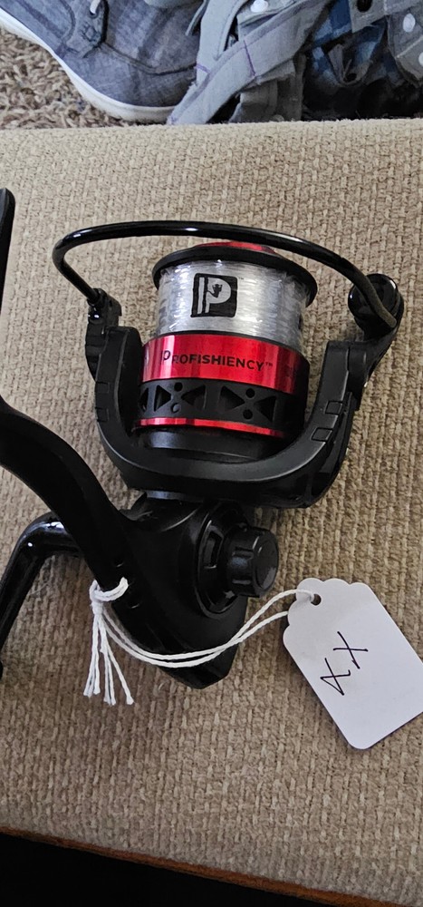 XX Profishiency 20-301