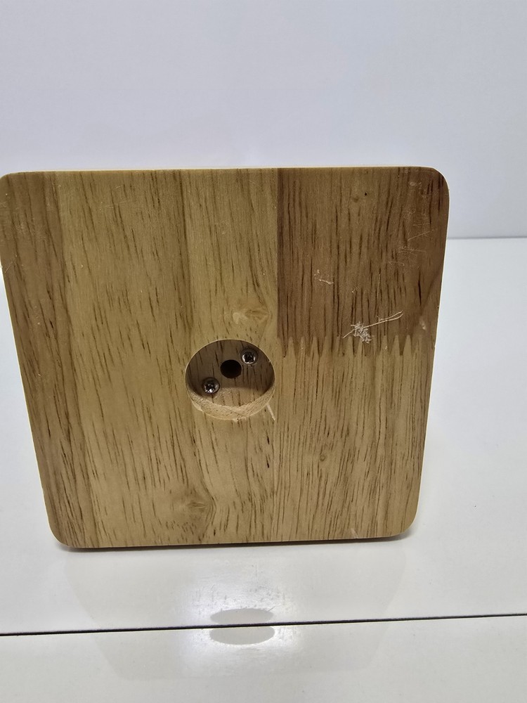 Evotech Mini Human Torso 10 inch Science Learning School