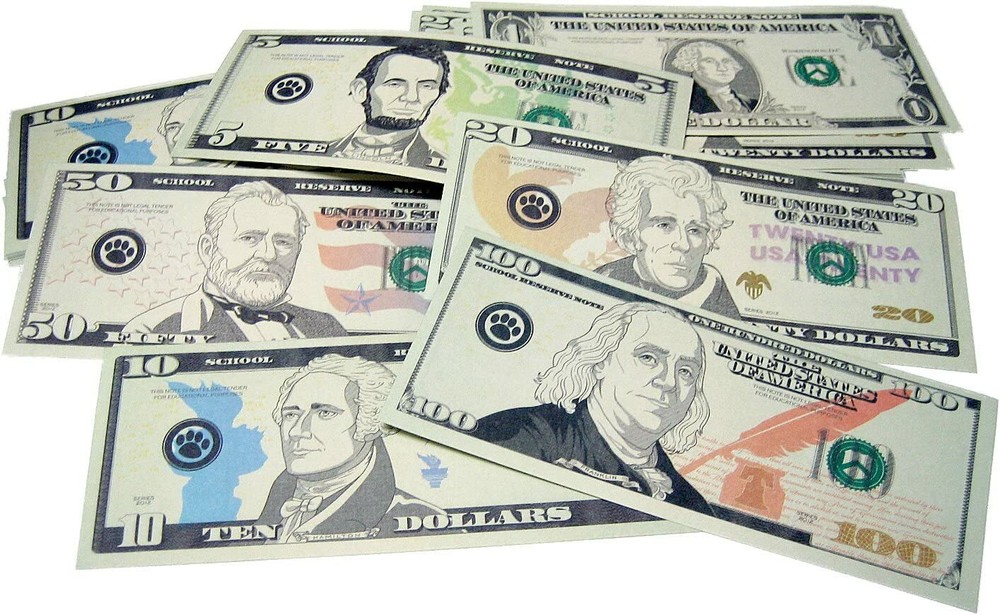 Teacher Created Resources Play Money: Assorted Bills