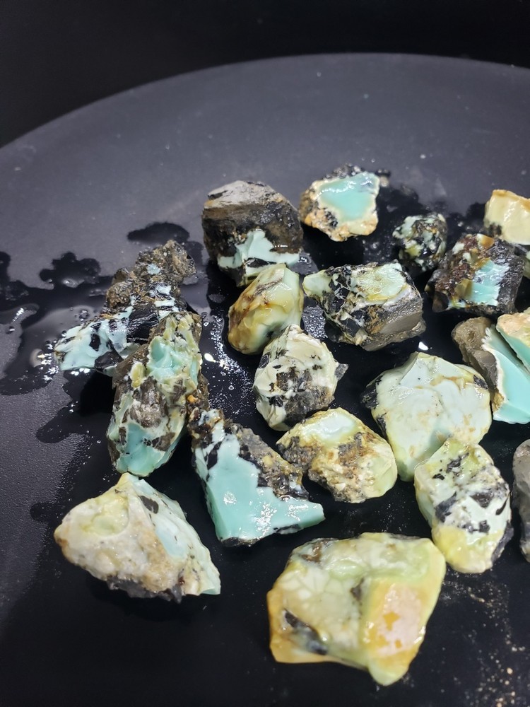 Nevada Gecko Variscite Rough 1/4 Lb