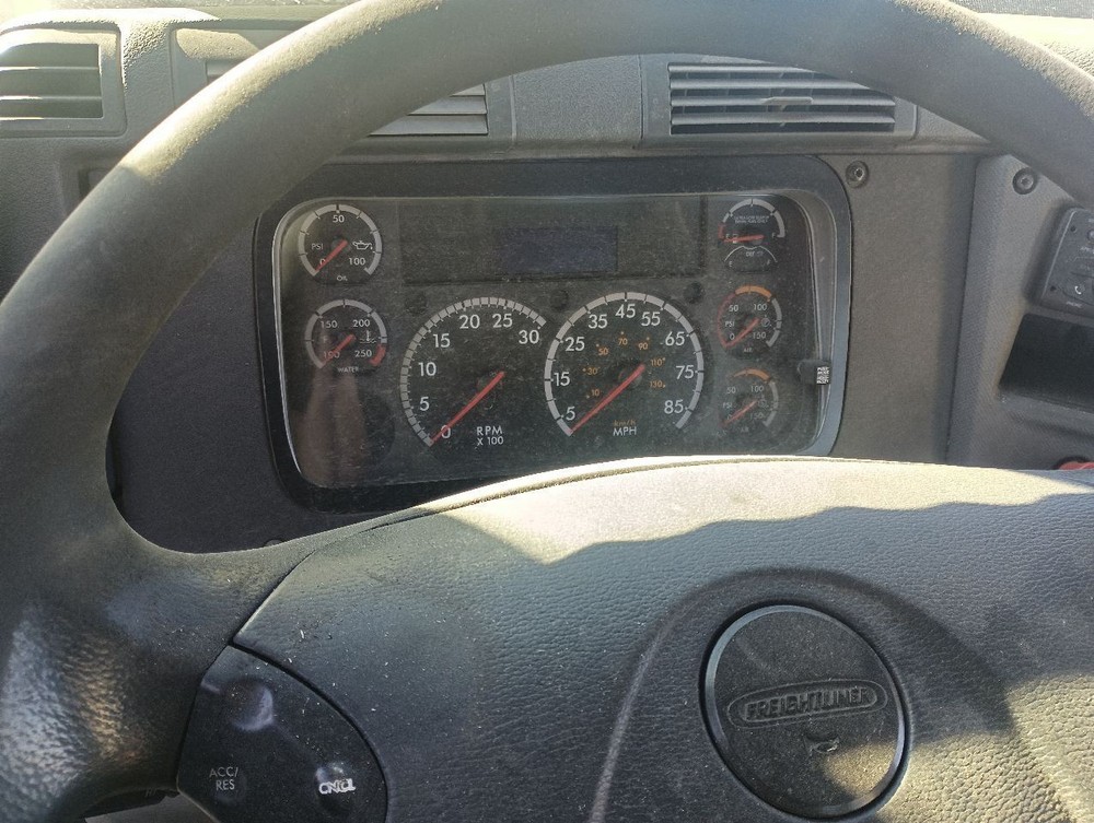 Freightliner Frame Steps (12826840