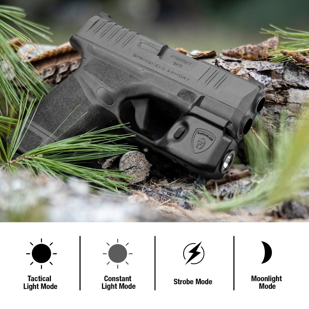 TSG IWB RH Holster & Mini Gun Light Combo: Springfield Hellcat (Not Hellcat Pro)