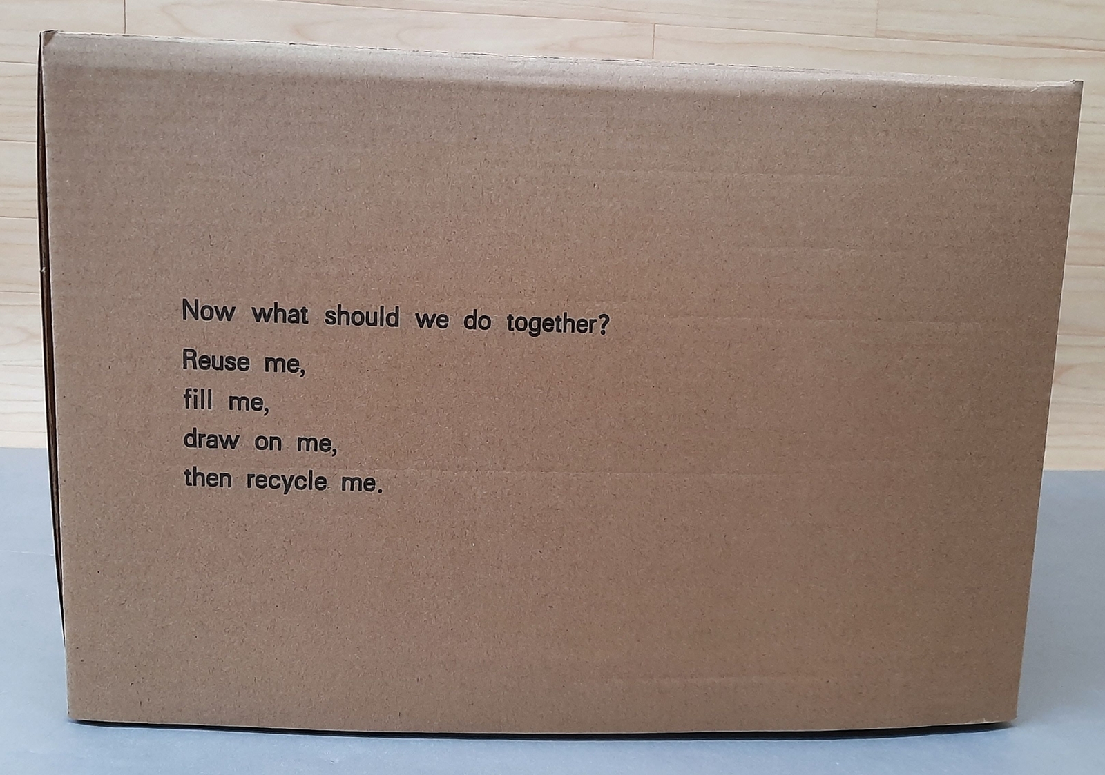 Ettitude Down Alternative Duvet Insert / Comforter King / California King White