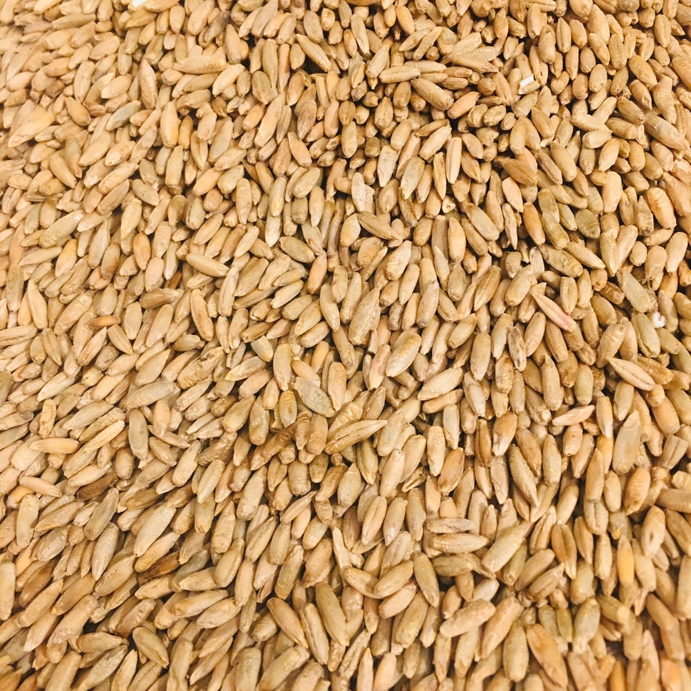 Rye Seed Whole Grain Kernels