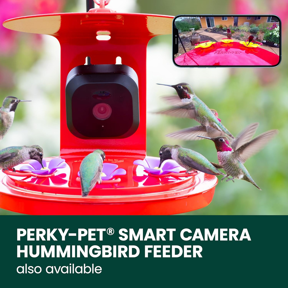 Solar Powered Smart Bird Feeder with Camera - Squirrel-Resistant, 3.2L Capacity,