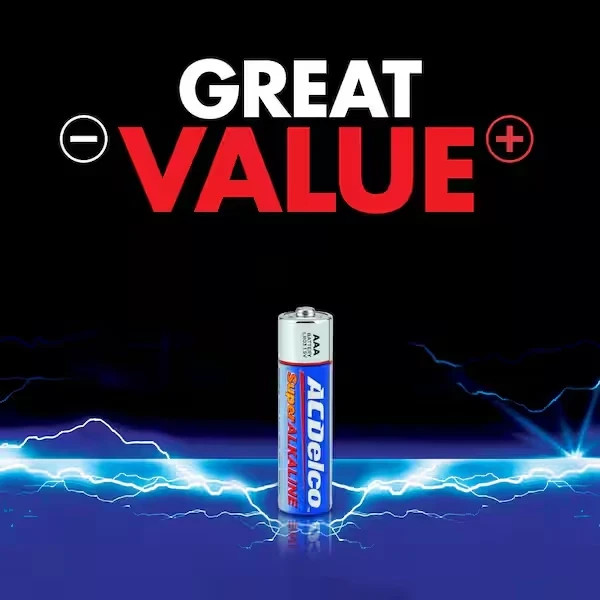 (48-Pack) AAA Batteries, Triple A Bulk Pack