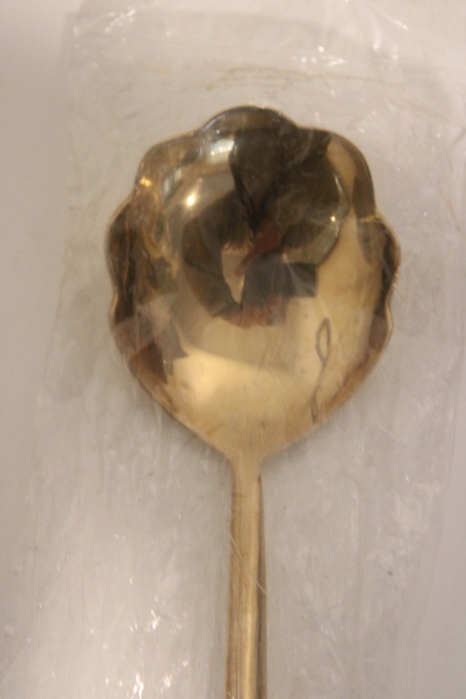 Izabel Lam Bronze STREAM Dinner Spoon