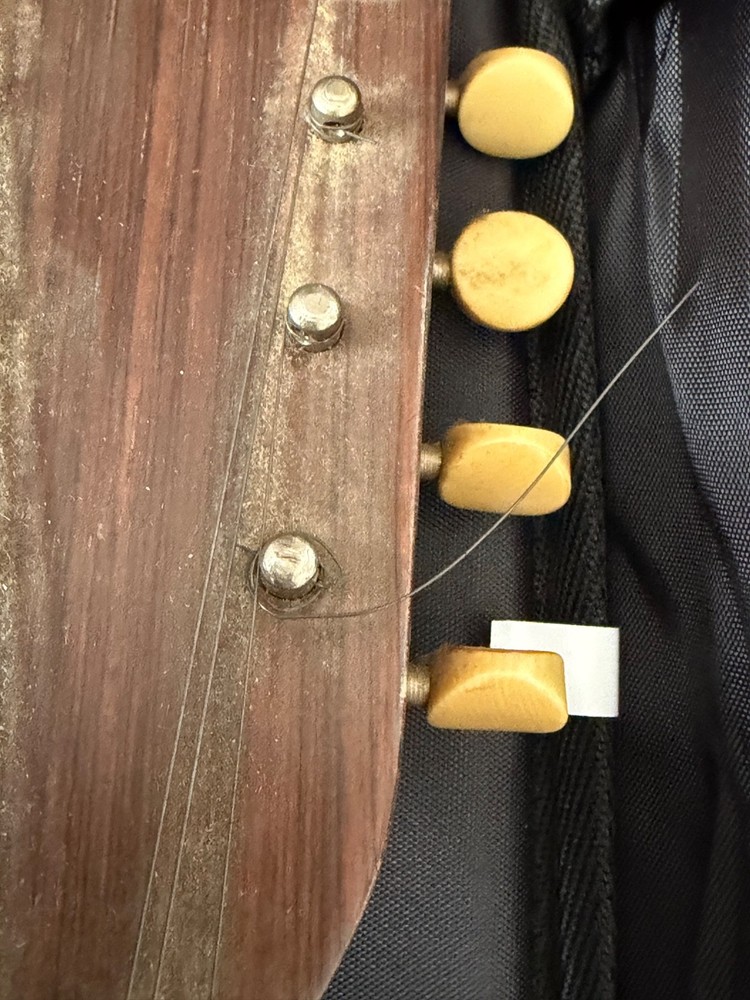 mandolins musical instrument a style