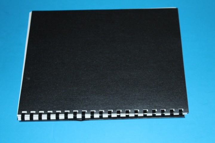 Christmas Seal Buttons and Pins 2nd ed Caprario BlueLakeStamps Great Info!