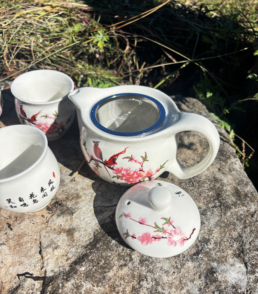Double Wall Bird Tea Set with Flowers