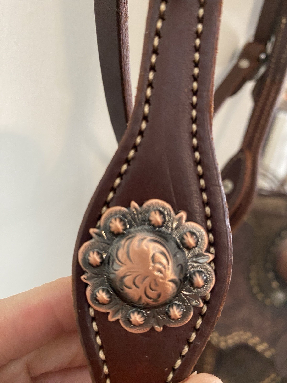 Beautiful Browband Headstall With Copper Buckles And Concho Ends