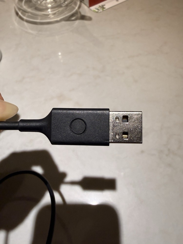 Fitbit Luxe Charging Cable - Black (FB180RCC)