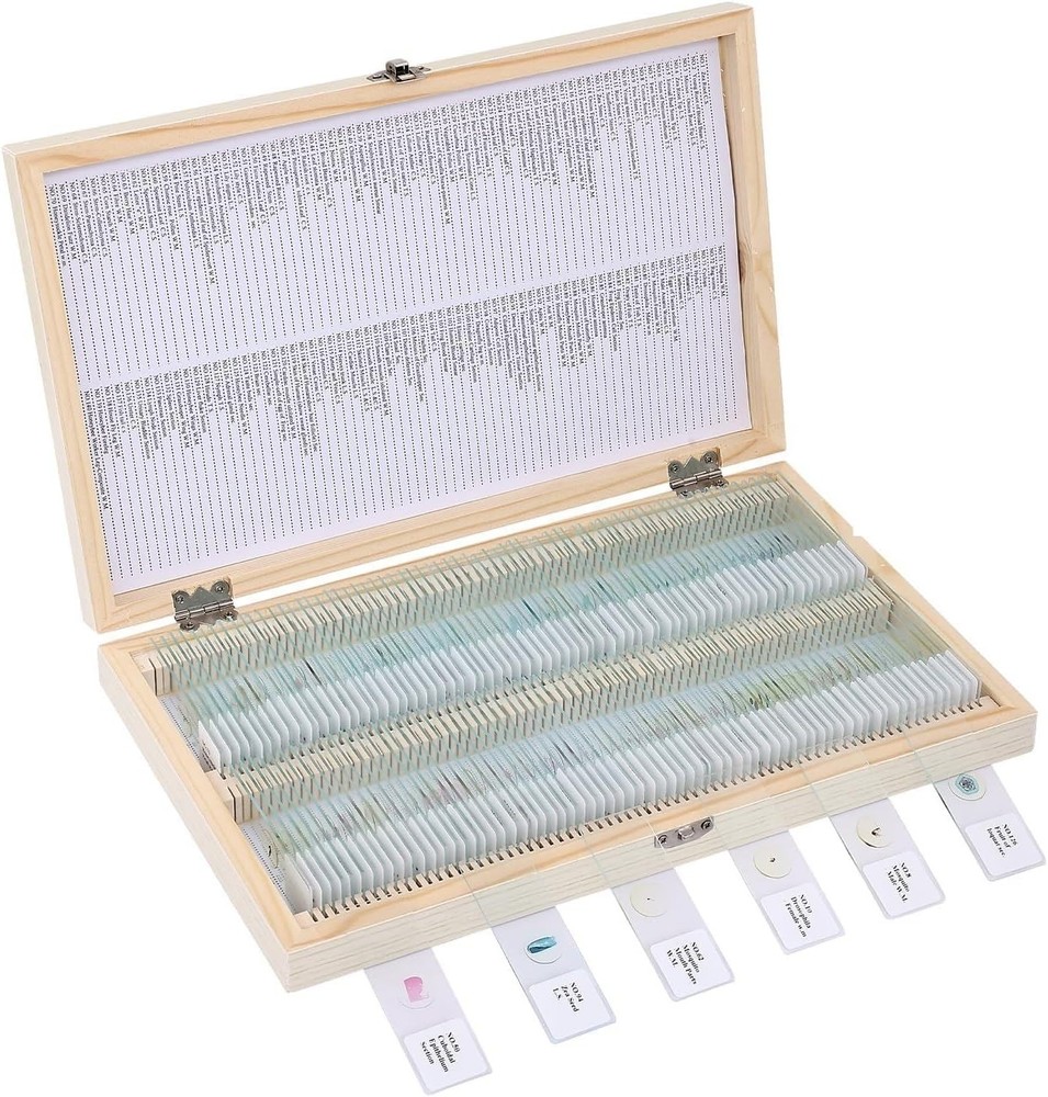 140-Pc Educational Microscope Slide Set - Safe Specimens for Young Scientists