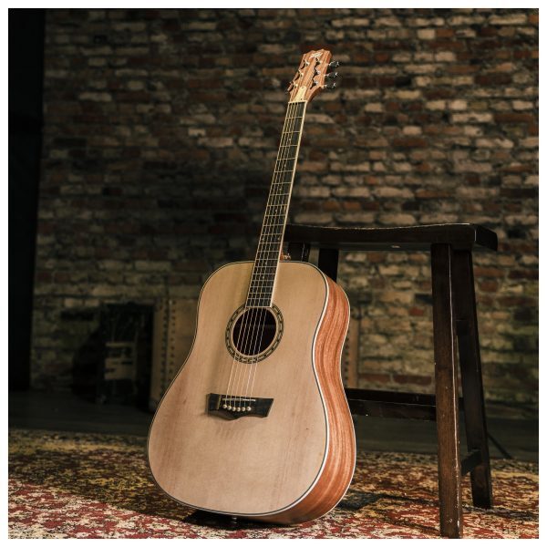 Delta Woods® DW-2™ Solid Top Dreadnought Acoustic Guitar with Case