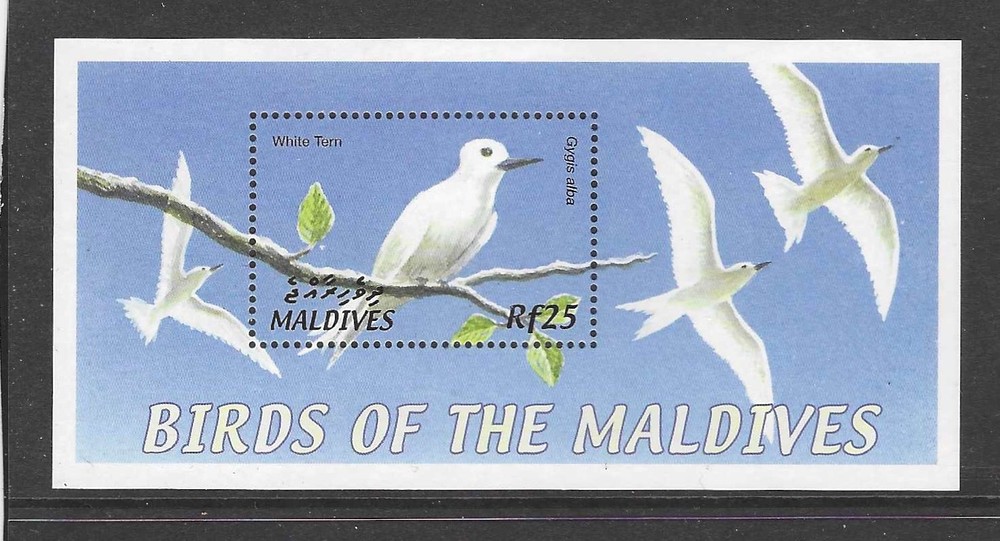 Maldives 2002 birds  (a197)