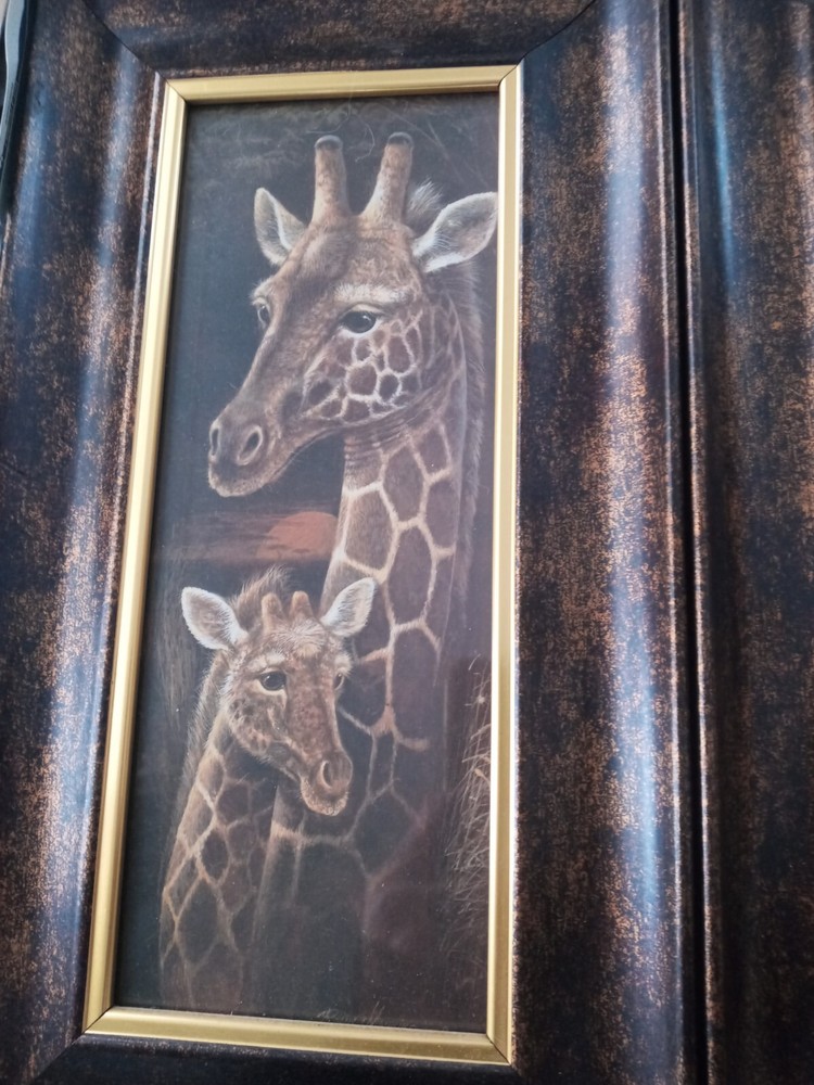 Safari Pictures In Frames