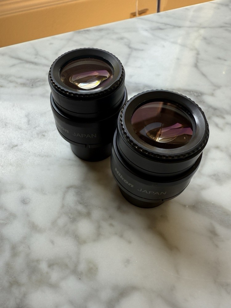 Pair Nikon Eclipse 80i 90i Microscope Eyepiece Occulars CFI 10x/22
