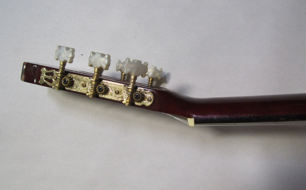 Eleca Acoustic 6 String Guitar Model C0-10