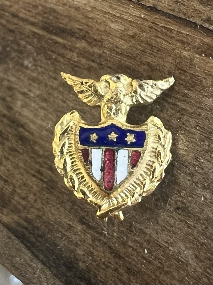 Vintage Patriotic Eagle & Shield Enamel Screwback Lapel Pin