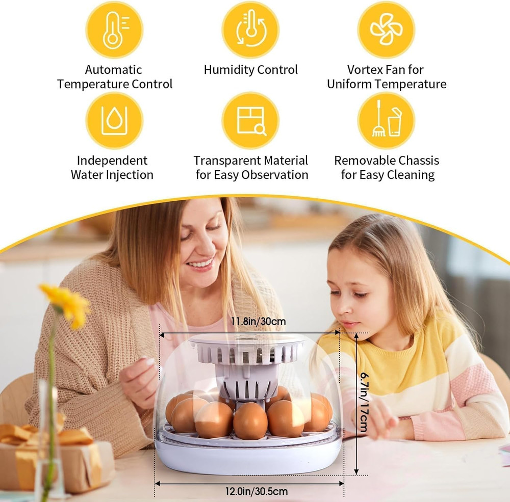 Simple 12-Egg Incubator for Beginners, Auto Egg Turn, Steady Self-Regulating Hum