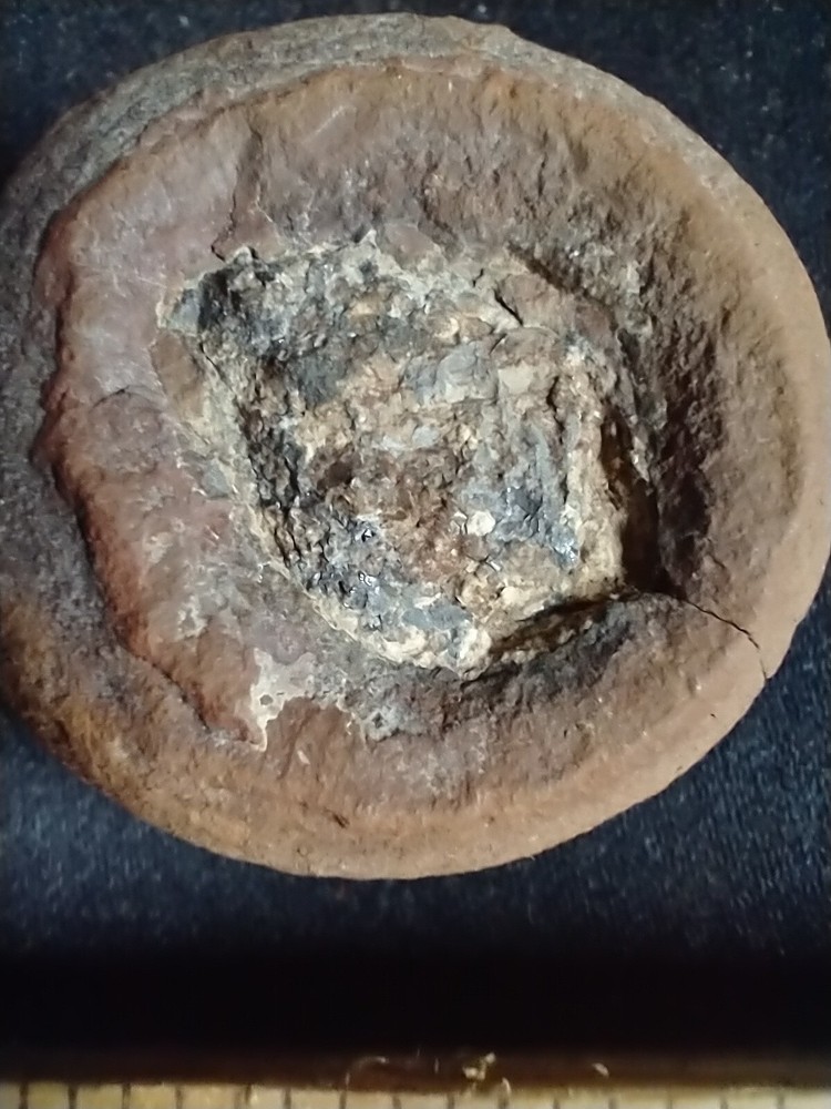 Mazon Creek Fossilized Coprolite