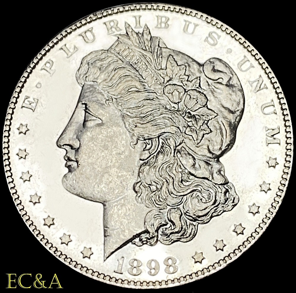 1898 MORGAN SILVER DOLLAR PL GEM (M317)