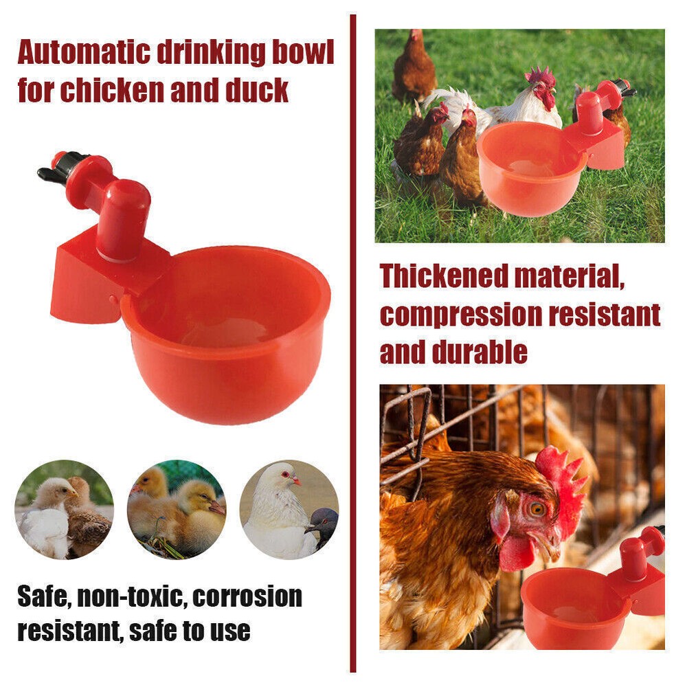 6PCS Automatic Water Cups Poultry Drinker Waterer Chicken Duck Quail Drinking US