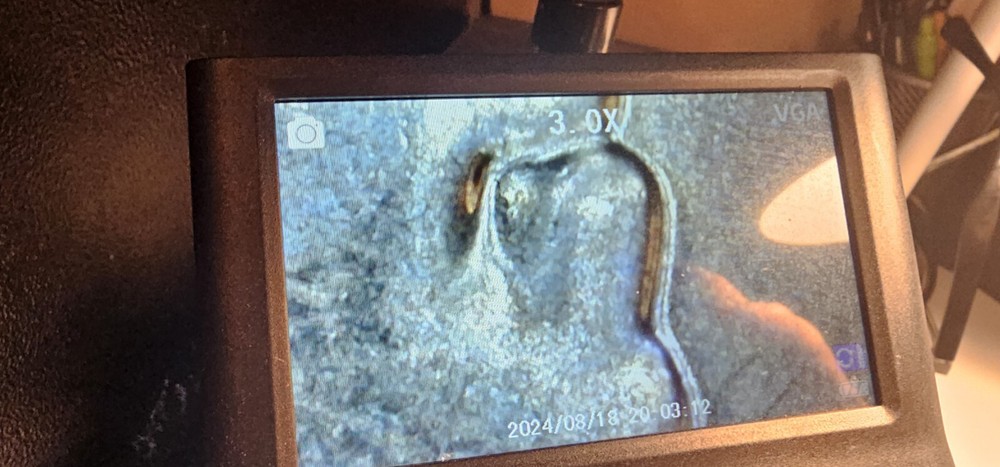 2024 D Hope Quarter DDO/DDR Errors