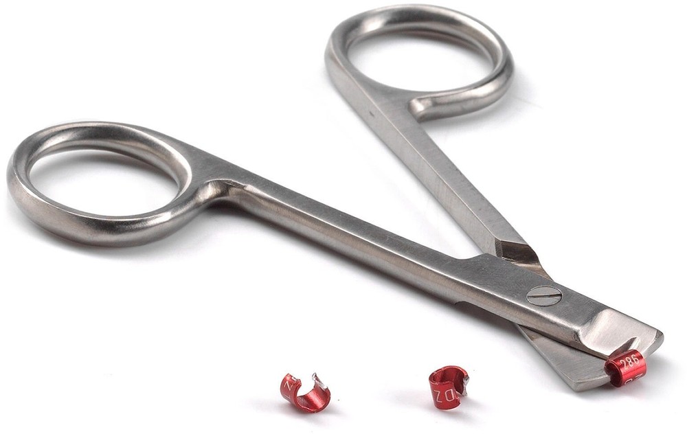 Bird Ring Cutting Scissors