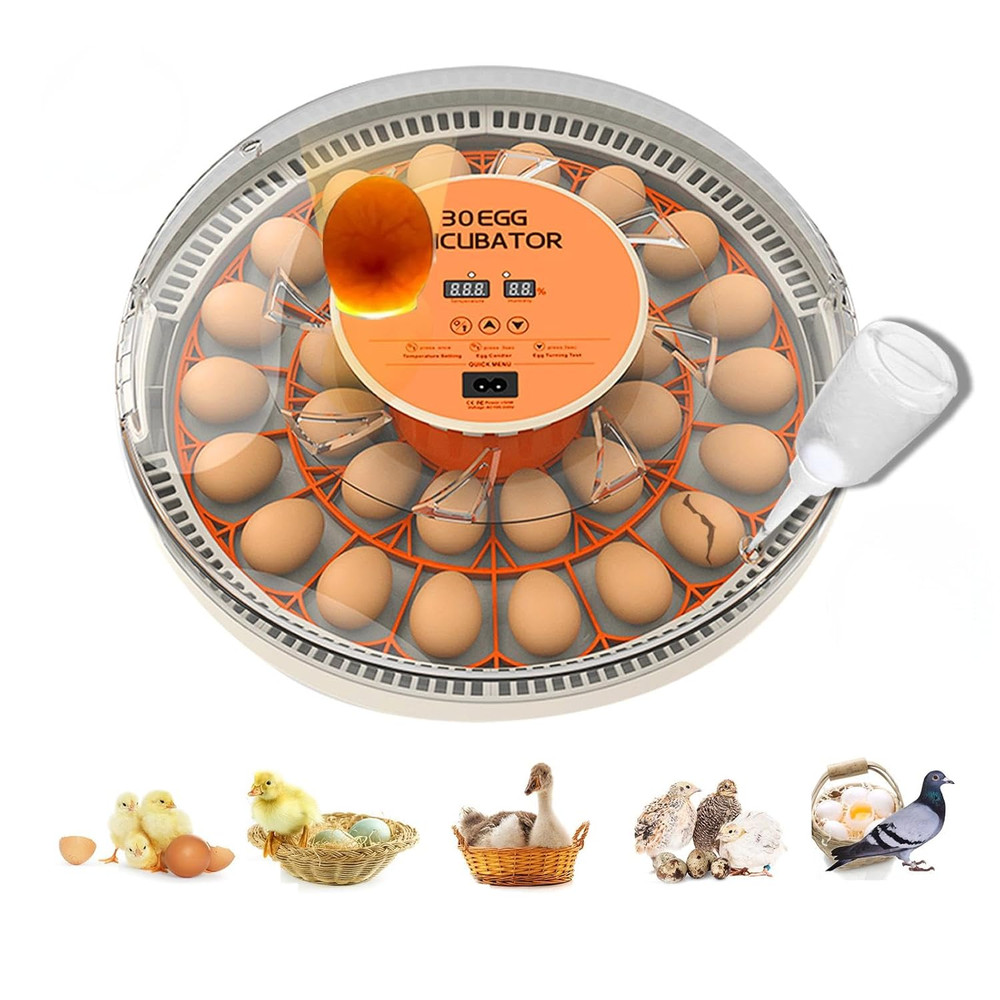 30 Egg Incubator with Automatic Egg Turning and Humidity Control/Display, Poultr