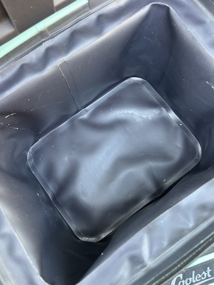 COOLEST COOLER BAG! RARE FIND!
