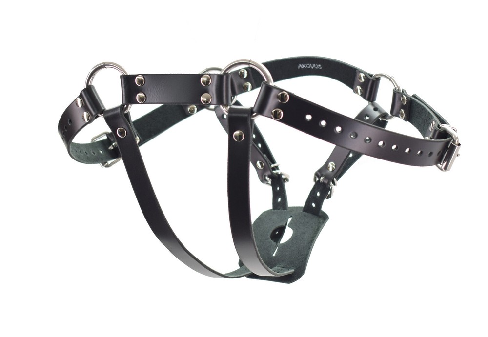 Butt Plug Harness For Tails by Axovus