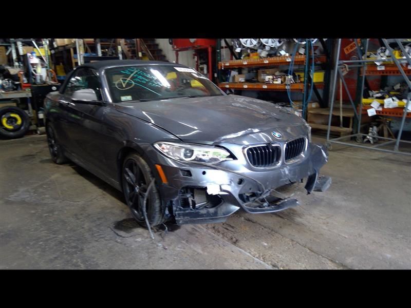 Active Sound Amplifier 2017 BMW M240i 6834089