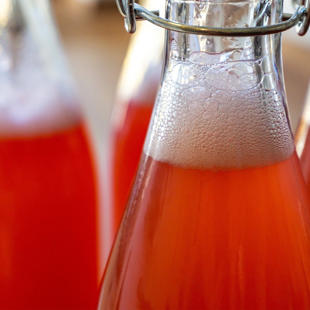 Solid Rubber Stopper #8 - 4 Pack - Carboy Bung