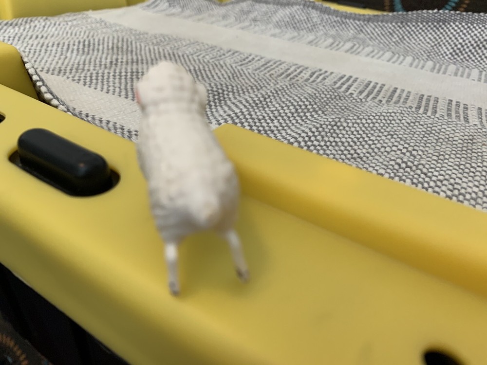 Plastic White Sheep. Number 915.