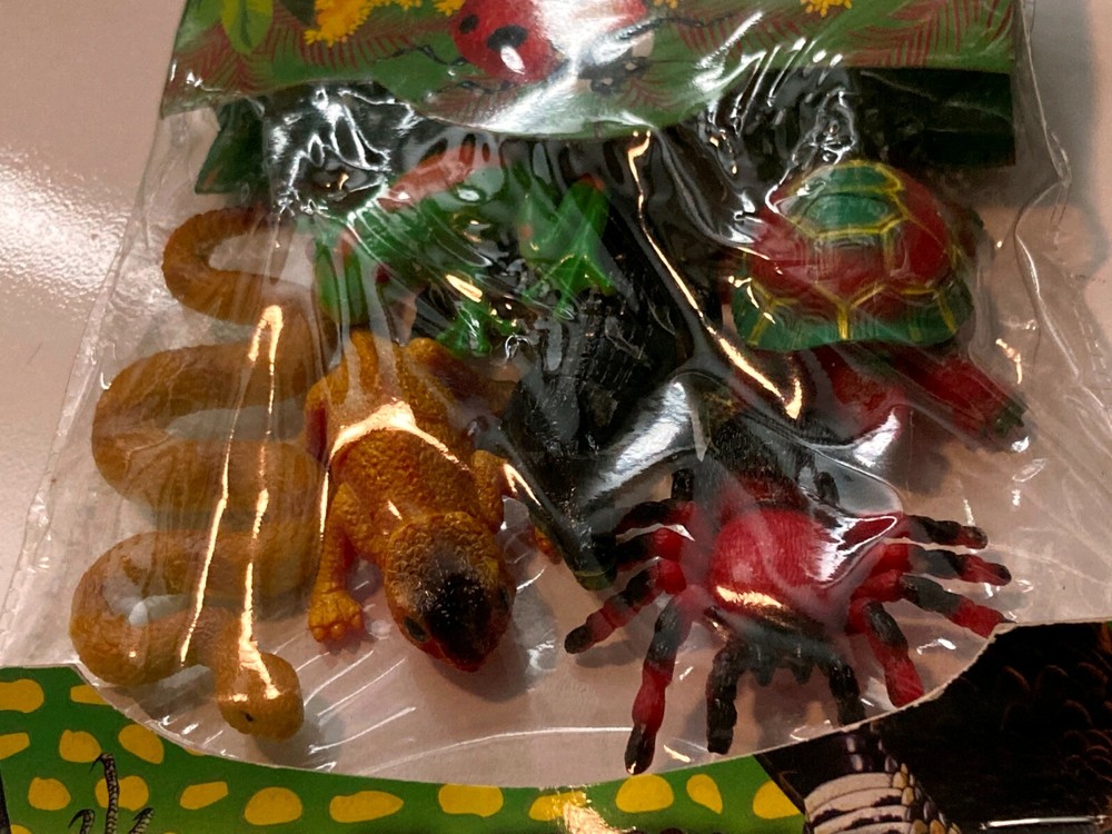 Natural World 6 Creatures Animals Snake Turtle Spider Lizard Tree Frog Alligator