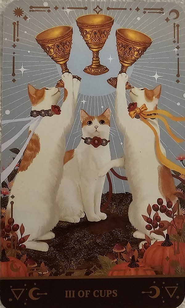 Muse Cat Tarot Deck