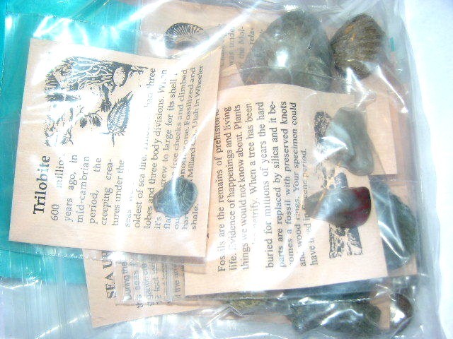 Fossil learning set w/10 different fossils info & geological time card plus