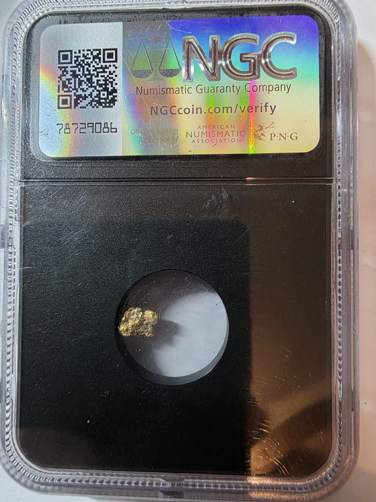 Mexico Gold Nugget 0.64 Gram Sinaloa Unvaulted Vault Box, NGC Certified