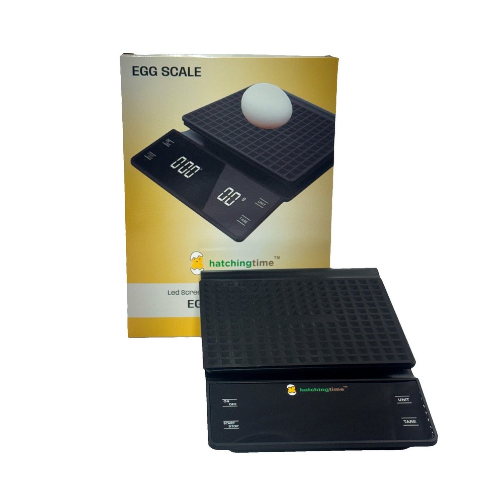 Digital Egg & Kitchen Scale - 6.6 lb Capacity