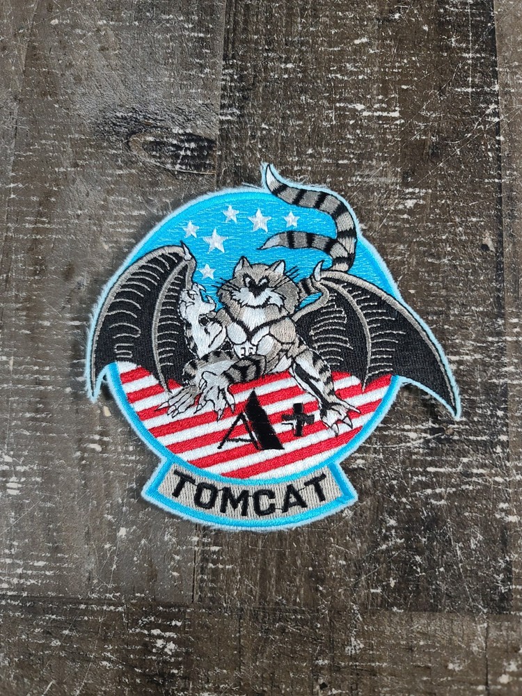 USN Tomcat Navy Flash / Patch (inv B645) Military Patch Memorabilia