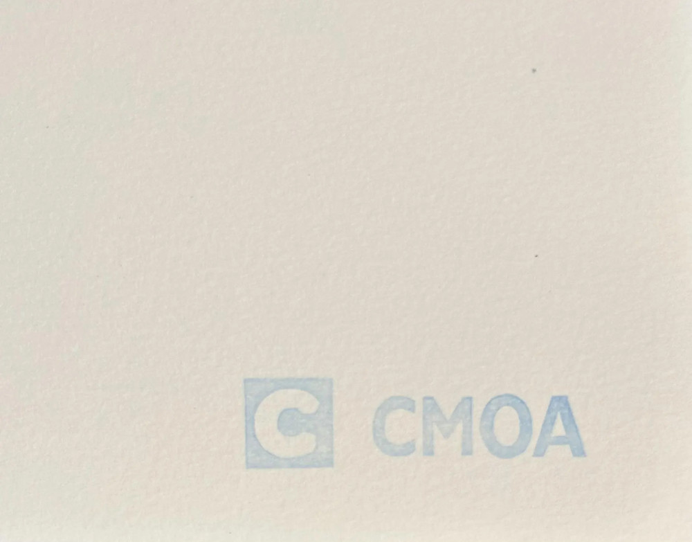 Andy Warhol "The Witch" 24" x 24" CMOA Off Set Lithograph