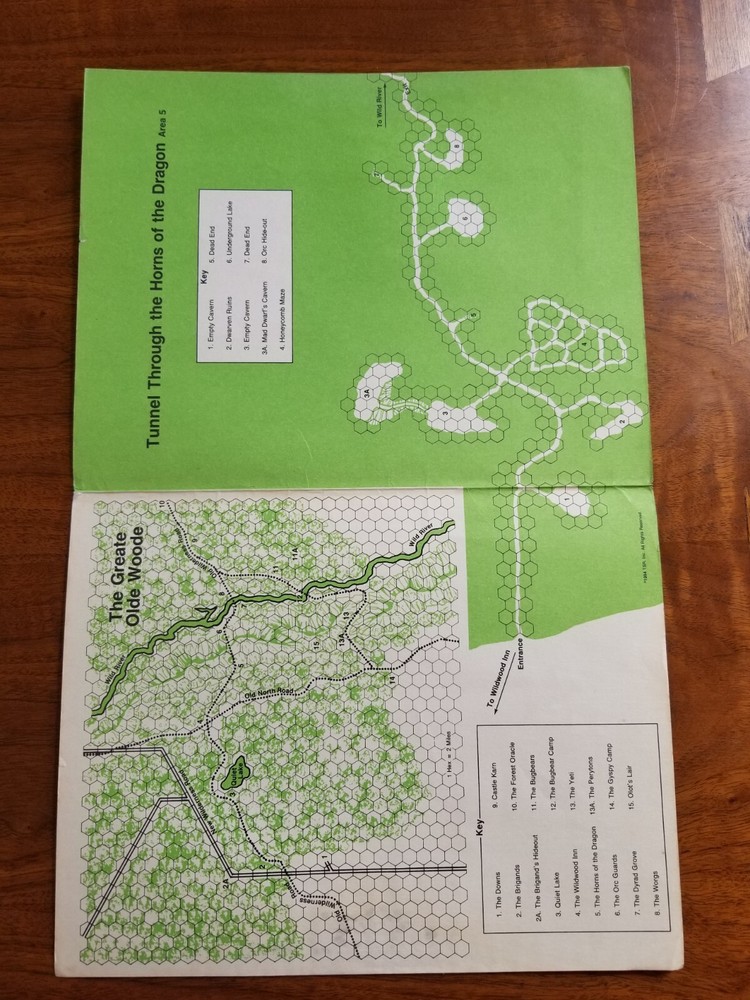 AD&D The Forest Oracle N2 Module Complete - AD&D 1st Edition TSR 9084