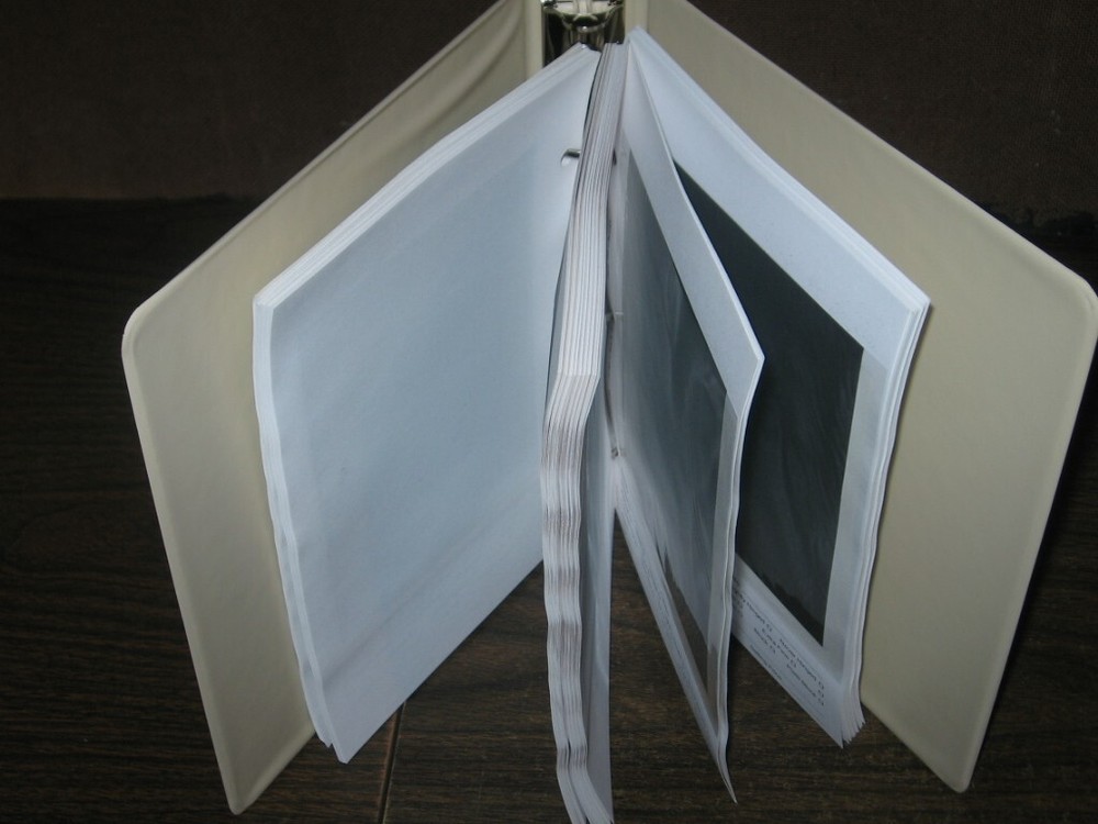 100 Glassine Stock Pages Ivory Album Binder Display US Stamp Plate Blocks