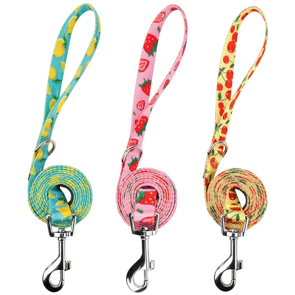 Fruit Design Nylon Dog Leashes 5FT with Easy to Use Hook 3 Pack Medium