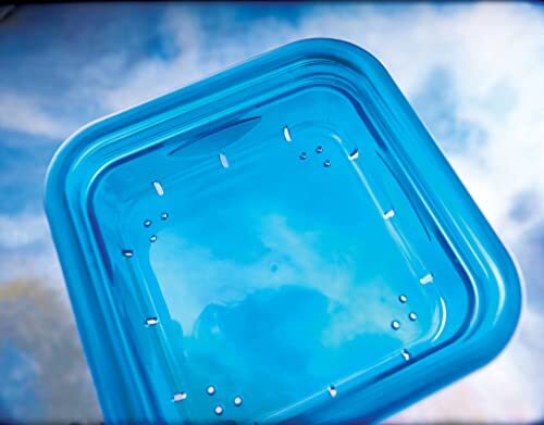 More Birds 38200 Feeder, Blue