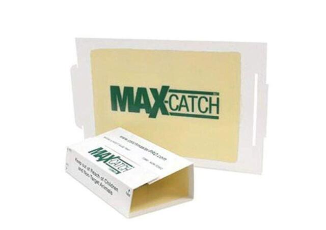 Catchmaster 72Max Glue Board Mouse Insects Trap 72 Count AP&G