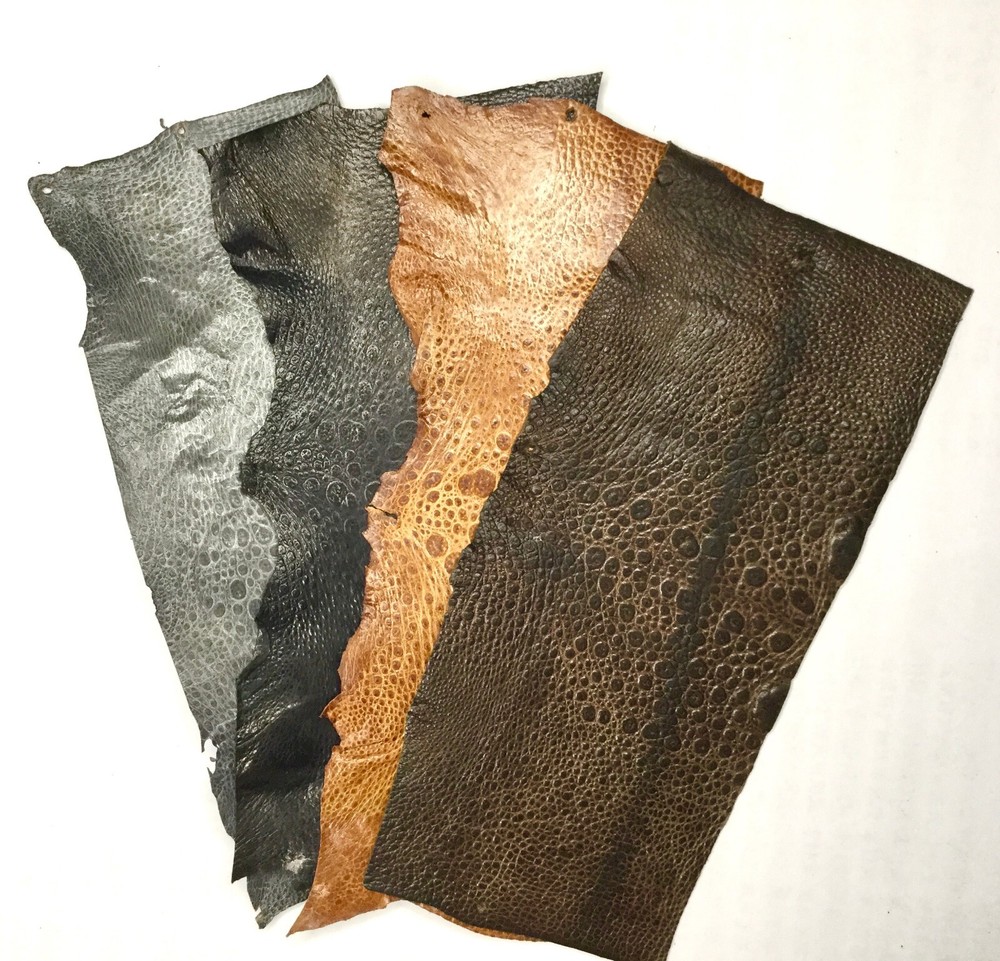 multiple color black gray brown Genuine Cane Toad Skin Leather sample 2pcs