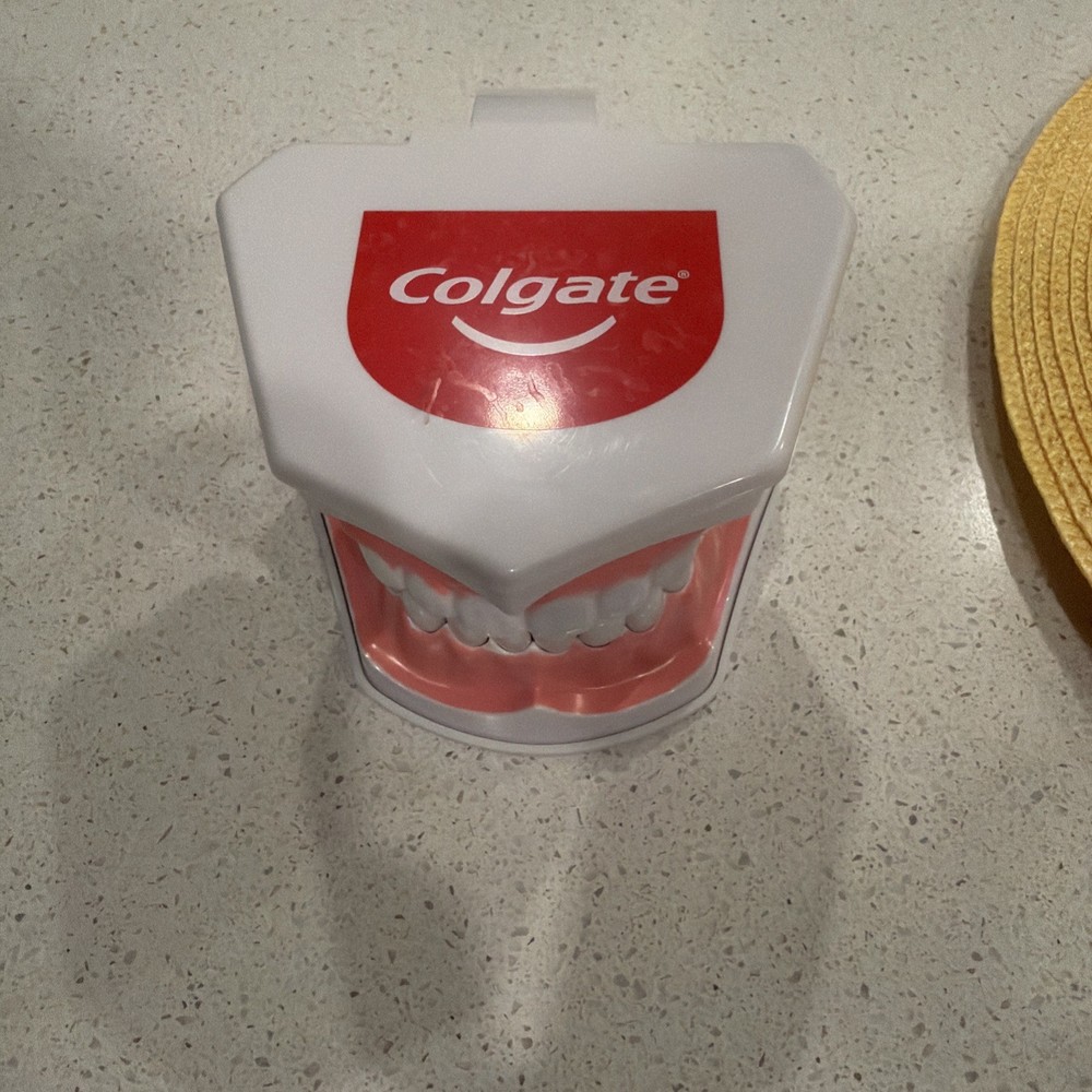 Colgate Large Teeth Educational Model