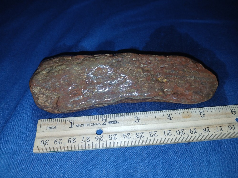 10.5 oz Texas Petrified Wood